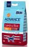 Advance All Breeds Adult Lamb & Rice