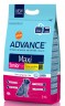 Advance Maxi Senior Chicken & Rice