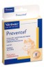 Preventef Gato